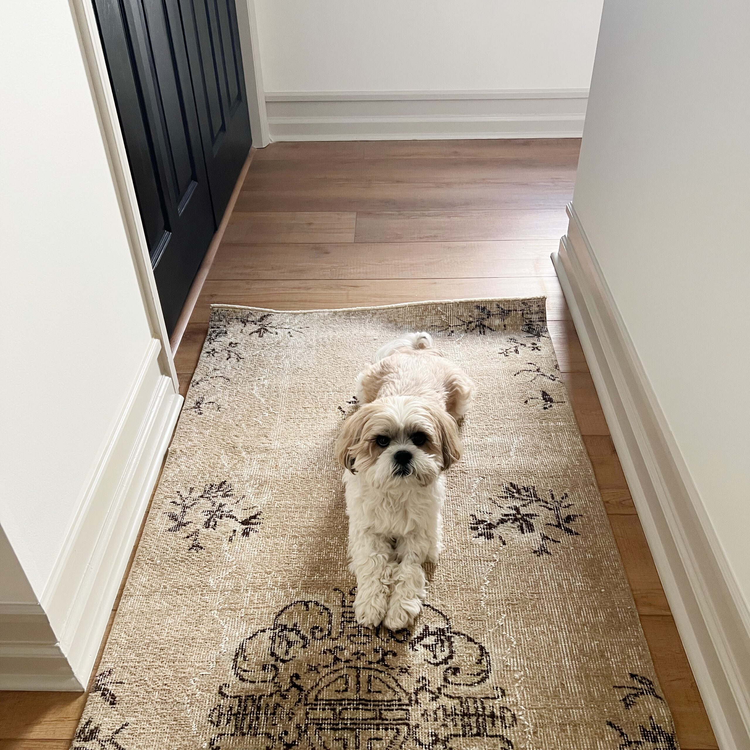 thicker trim hack in hallway with vintage rug